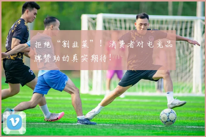 拒绝“割韭菜”！消费者对电竞品牌赞助的真实期待！