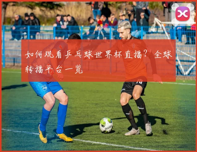 如何观看乒乓球世界杯直播？全球转播平台一览