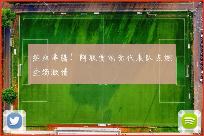 热血沸腾！阿联酋电竞代表队点燃全场激情