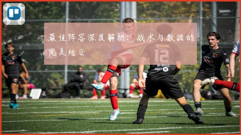 最佳阵容深度解析：战术与数据的完美结合
