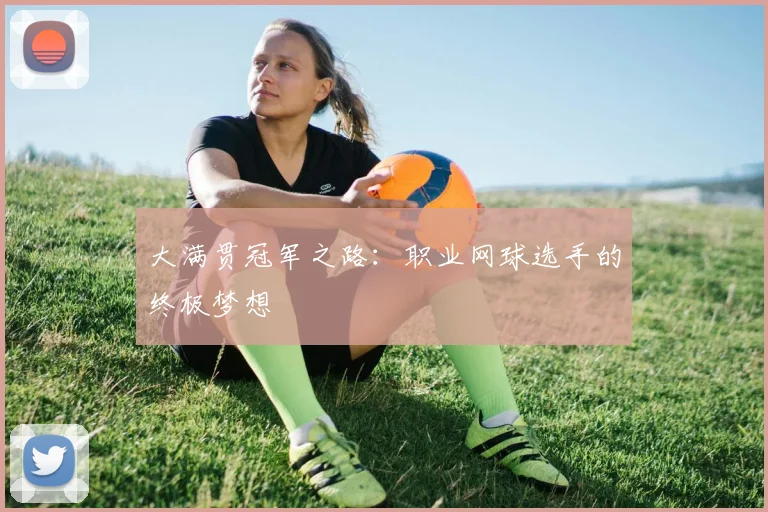 大满贯冠军之路：职业网球选手的终极梦想