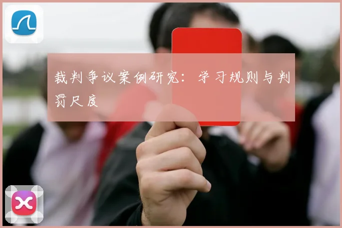裁判争议案例研究：学习规则与判罚尺度
