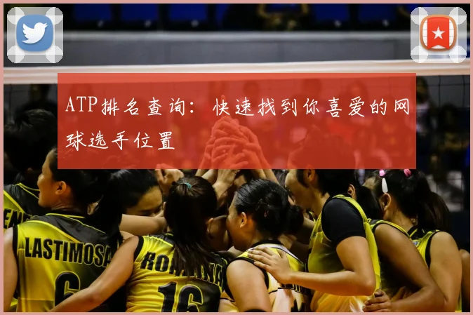 ATP排名查询：快速找到你喜爱的网球选手位置