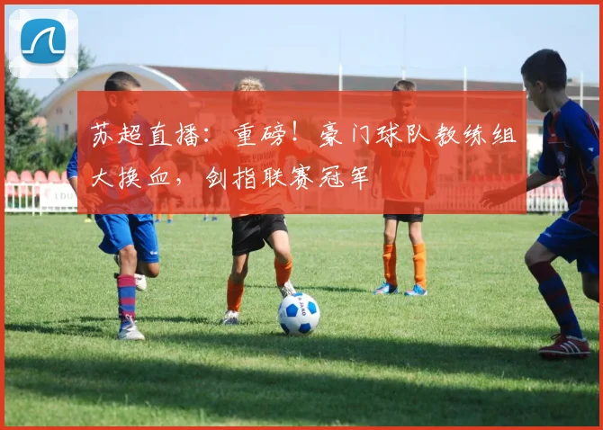 苏超直播：重磅！豪门球队教练组大换血，剑指联赛冠军